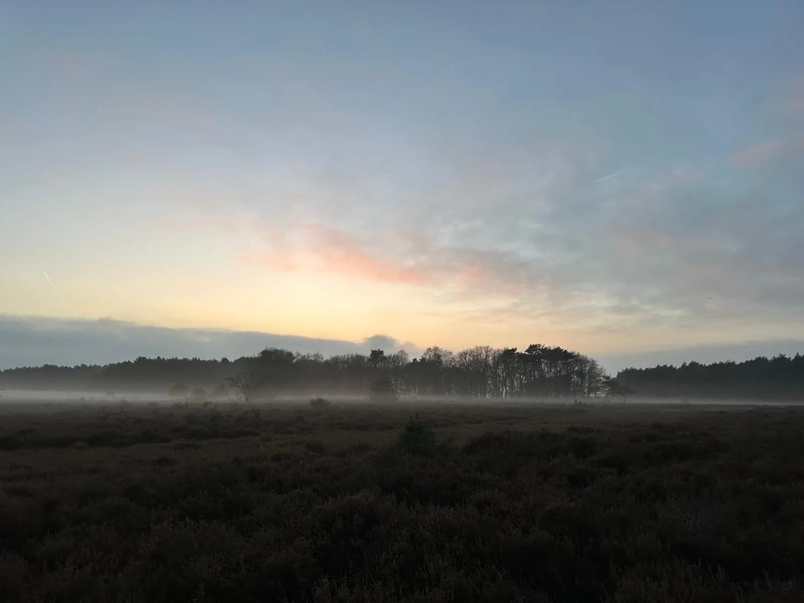 Op de hei